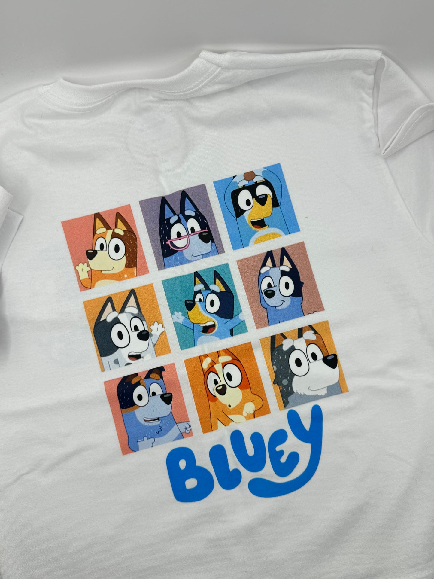 Choose your design Blueydog t shirt